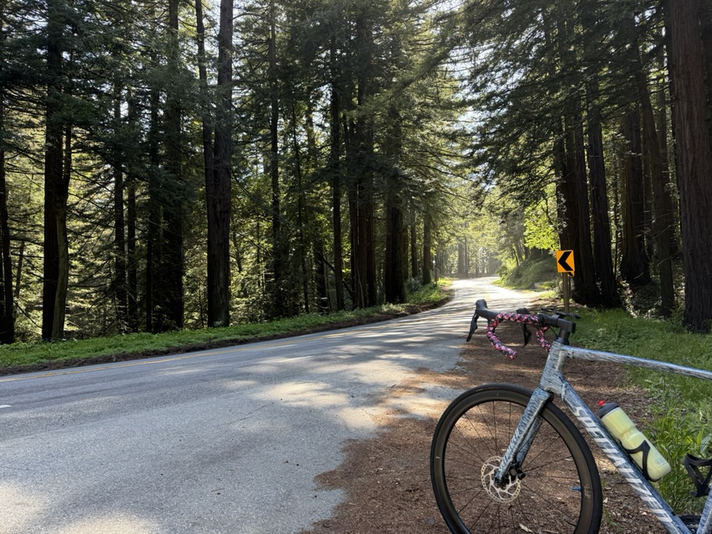 Picture of the bike in Skyling Blvd in the South Bay.